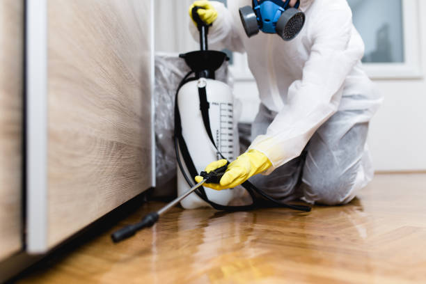 Best Pest Removal Services  in East Los Angeles, CA
