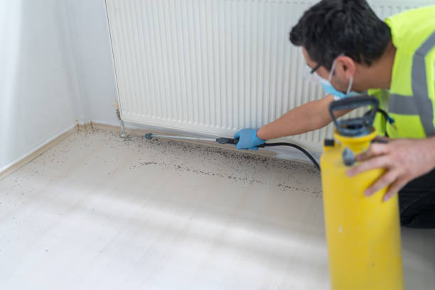 Best Pest Control Near Me  in East Los Angeles, CA